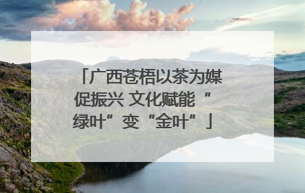 广西苍梧以茶为媒促振兴 文化赋能“绿叶”变“金叶”