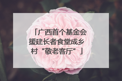 广西首个基金会援建长者食堂成乡村“敬老客厅”