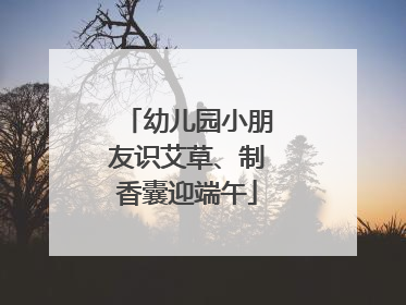 幼儿园小朋友识艾草、制香囊迎端午