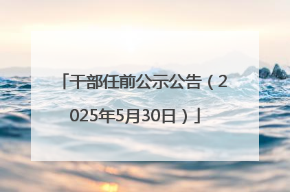 干部任前公示公告（2025年5月30日）