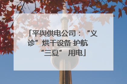 平舆供电公司：“义诊”烘干设备 护航 “三夏” 用电