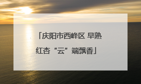 庆阳市西峰区 早熟红杏“云”端飘香