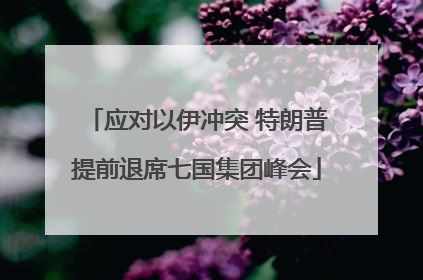 应对以伊冲突 特朗普提前退席七国集团峰会