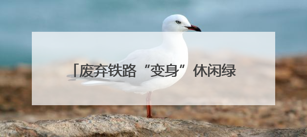 废弃铁路“变身”休闲绿廊 这些城市正悄然改变