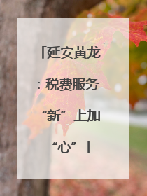 延安黄龙：税费服务“新”上加“心”