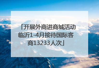 开展外商进商城活动 临沂1-4月接待国际客商13233人次
