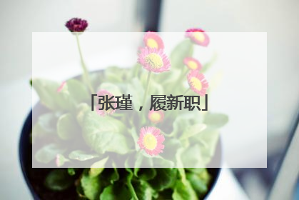 张瑾，履新职