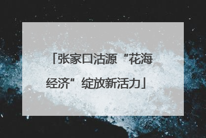 张家口沽源“花海经济”绽放新活力