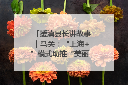 援滇县长讲故事｜马关：“上海+”模式助推“美丽产业”幸福绽放