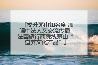 提升茅山知名度 加强中法人文交流传播 法国旅行商踩线茅山“道养文化产品”