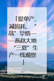 提单产、减损耗、“战”旱情——燕赵大地“三夏”生产一线观察