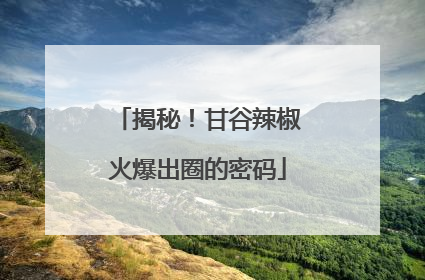 揭秘！甘谷辣椒火爆出圈的密码