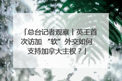 总台记者观察丨英王首次访加 “软”外交如何支持加拿大主权？