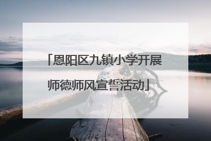 恩阳区九镇小学开展师德师风宣誓活动