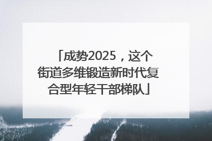 成势2025，这个街道多维锻造新时代复合型年轻干部梯队