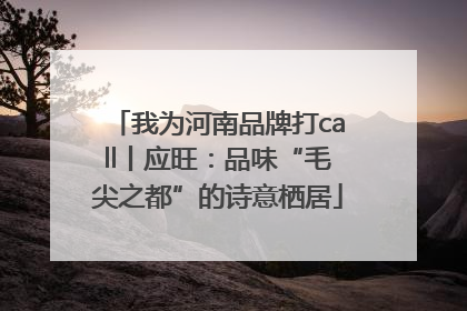 我为河南品牌打call丨应旺：品味“毛尖之都”的诗意栖居