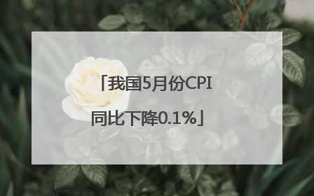 我国5月份CPI同比下降0.1%