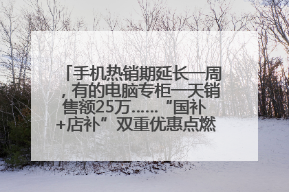 手机热销期延长一周，有的电脑专柜一天销售额25万……“国补+店补”双重优惠点燃德州“考后经济”