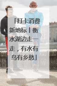 打卡消费新地标丨衡水湖边走一走，有水有鸟有乡愁