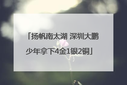 扬帆南太湖 深圳大鹏少年拿下4金1银2铜