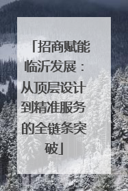 招商赋能临沂发展：从顶层设计到精准服务的全链条突破