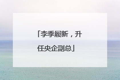 李季履新，升任央企副总