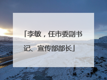 李敏，任市委副书记、宣传部部长