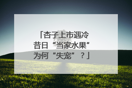 杏子上市遇冷 昔日“当家水果”为何“失宠”？