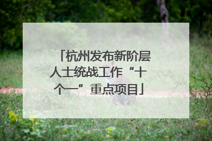杭州发布新阶层人士统战工作“十个一”重点项目