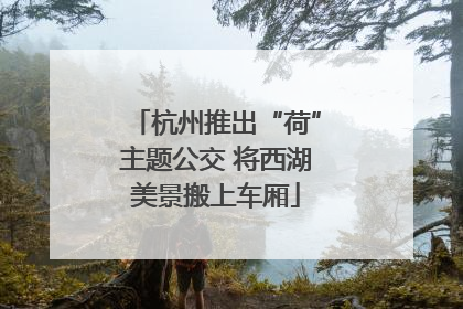 杭州推出“荷”主题公交 将西湖美景搬上车厢