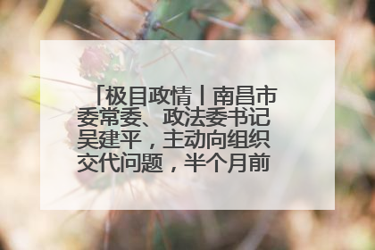 极目政情丨南昌市委常委、政法委书记吴建平，主动向组织交代问题，半个月前还在出席会议