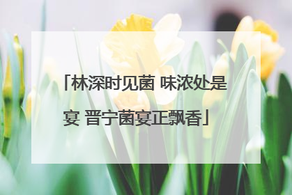 林深时见菌 味浓处是宴 晋宁菌宴正飘香