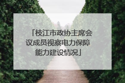 枝江市政协主席会议成员视察电力保障能力建设情况