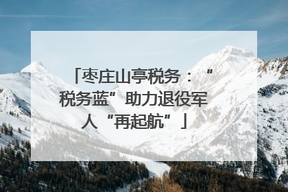 枣庄山亭税务：“税务蓝”助力退役军人“再起航”