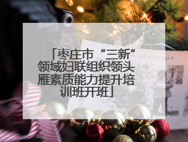 枣庄市“三新”领域妇联组织领头雁素质能力提升培训班开班