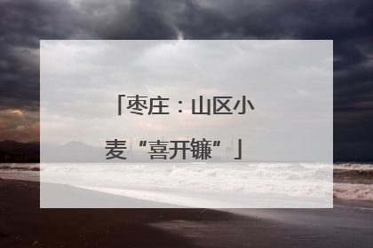 枣庄：山区小麦“喜开镰”