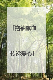 撸袖献血 传递爱心