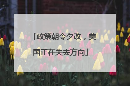 政策朝令夕改，美国正在失去方向