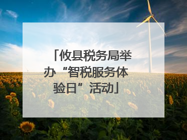 攸县税务局举办“智税服务体验日”活动