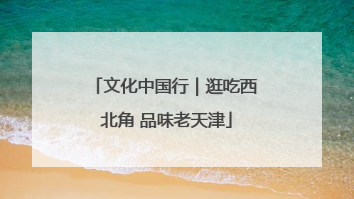 文化中国行｜逛吃西北角 品味老天津