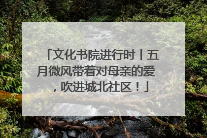文化书院进行时丨五月微风带着对母亲的爱，吹进城北社区！