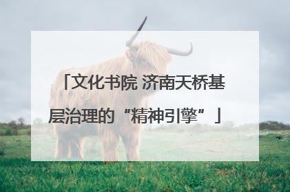 文化书院 济南天桥基层治理的“精神引擎”