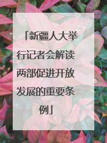 新疆人大举行记者会解读两部促进开放发展的重要条例