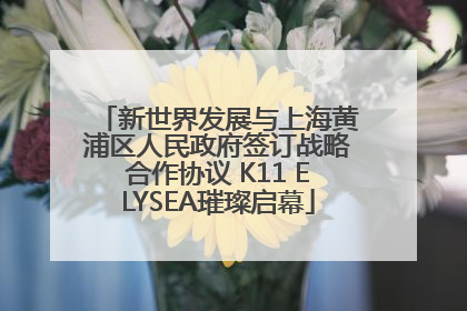 新世界发展与上海黄浦区人民政府签订战略合作协议 K11 ELYSEA璀璨启幕