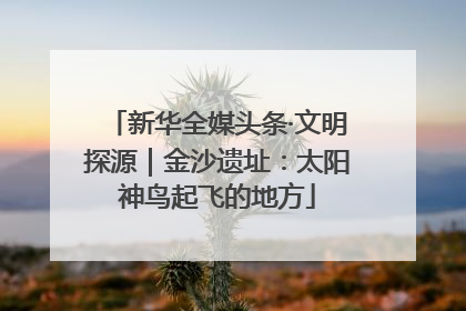 新华全媒头条·文明探源｜金沙遗址：太阳神鸟起飞的地方