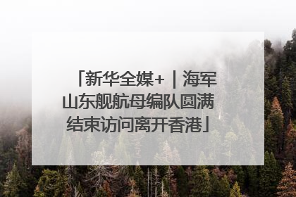 新华全媒+｜海军山东舰航母编队圆满结束访问离开香港