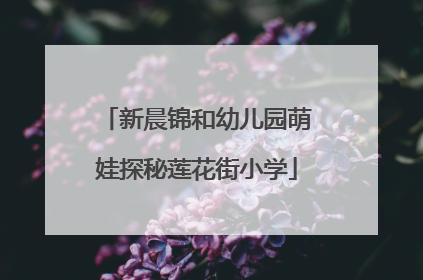新晨锦和幼儿园萌娃探秘莲花街小学