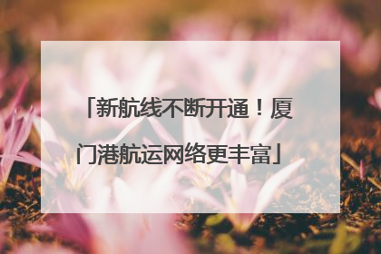 新航线不断开通！厦门港航运网络更丰富