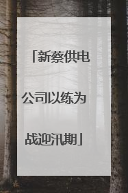 新蔡供电公司以练为战迎汛期