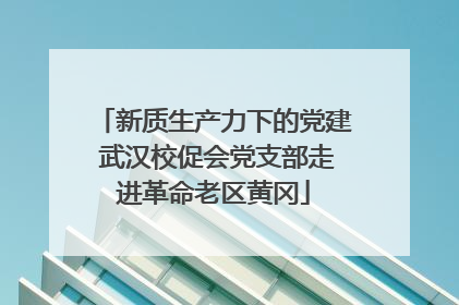 新质生产力下的党建 武汉校促会党支部走进革命老区黄冈